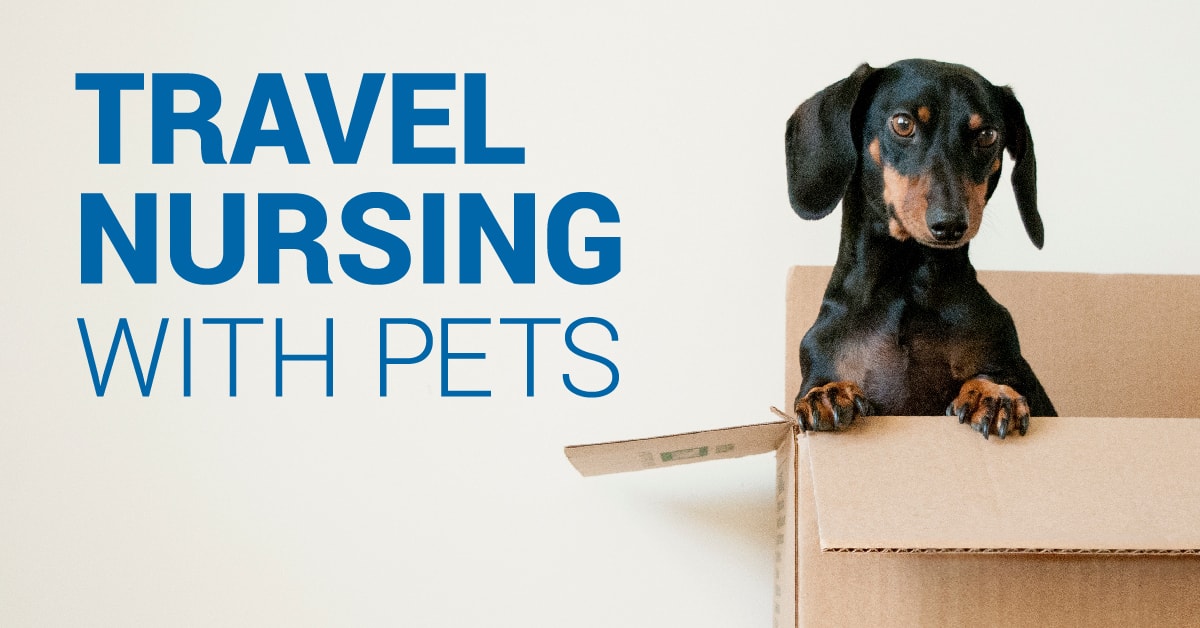 Tips for Travel Nursing with Pets RNTravel